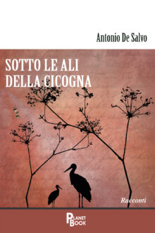 Sotto le ali della cicogna,Copertina di Sotto le ali della cicogna