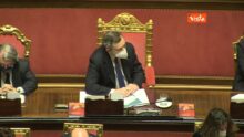 Draghi sgomita, Mario Draghi al Senato