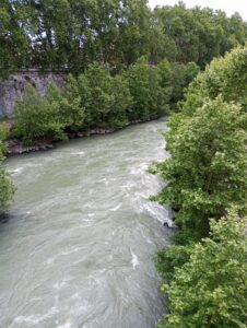 Biondo Tevere, Gli argini del Biondo Tevere invasi dalla boscaglia